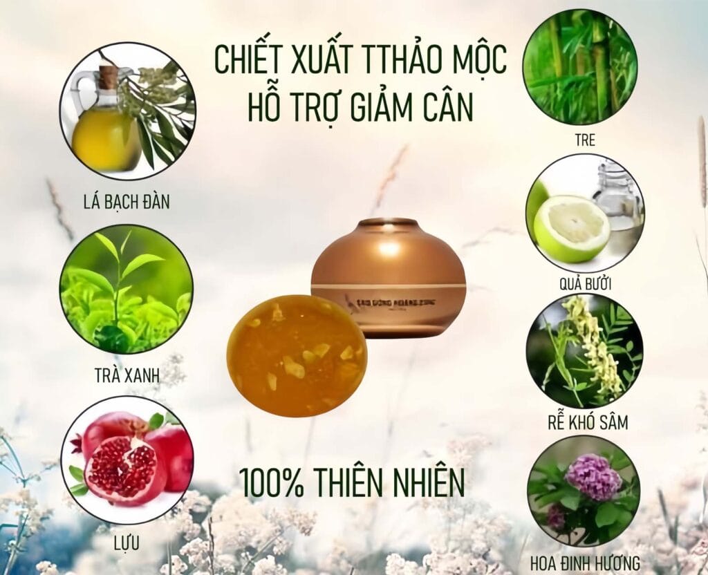 Thành Phần Chính Có Trong Kem Tan Mỡ Hoàng Cung